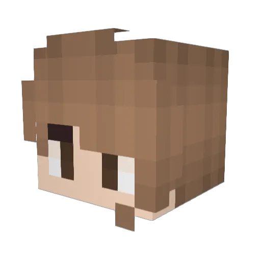 TNTking7777 Minecraft avatar head, 3D render
