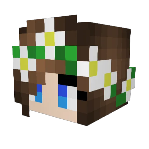 TNTkitty08 Minecraft avatar head, 3D render