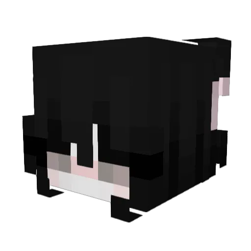 TNXKS Minecraft avatar head, 3D render
