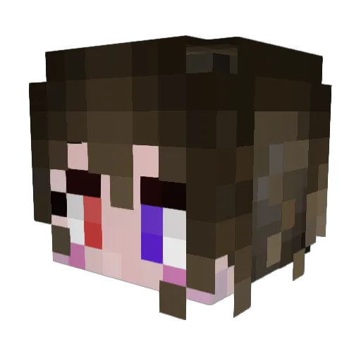 TNin_ST Minecraft avatar head, 3D render