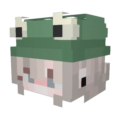 TNmlshshjdjsj Minecraft avatar head, 3D render
