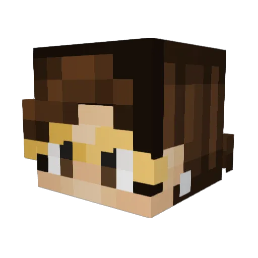 TOAST3R935 Minecraft avatar head, 3D render
