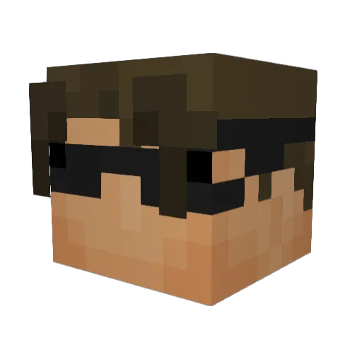 TOAST3R Minecraft avatar head, 3D render