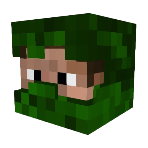 TOBIASATAR Minecraft avatar head, 3D render