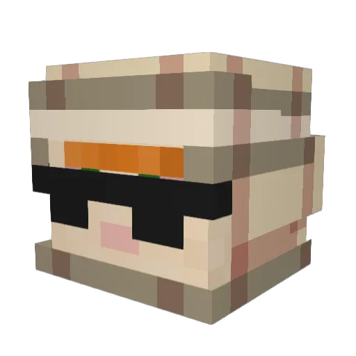 TOBPROWOEINE3iFR Minecraft avatar head, 3D render