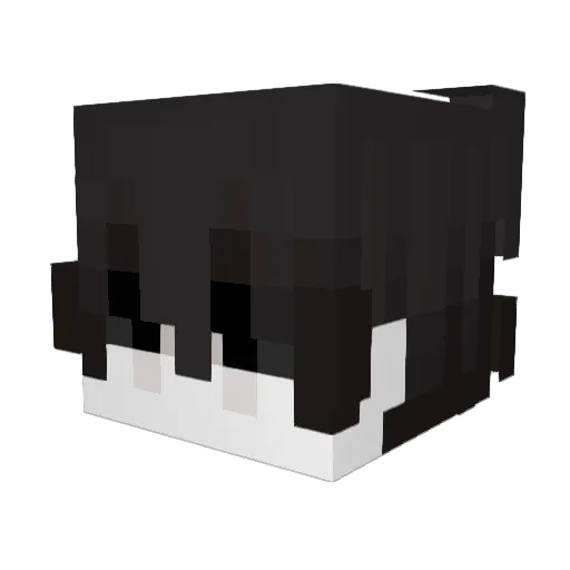 TOBYYYZZ Minecraft avatar head, 3D render