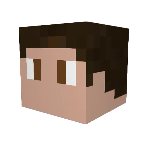 TOCatch Minecraft avatar head, 3D render