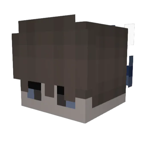 TODESJAHR Minecraft avatar head, 3D render