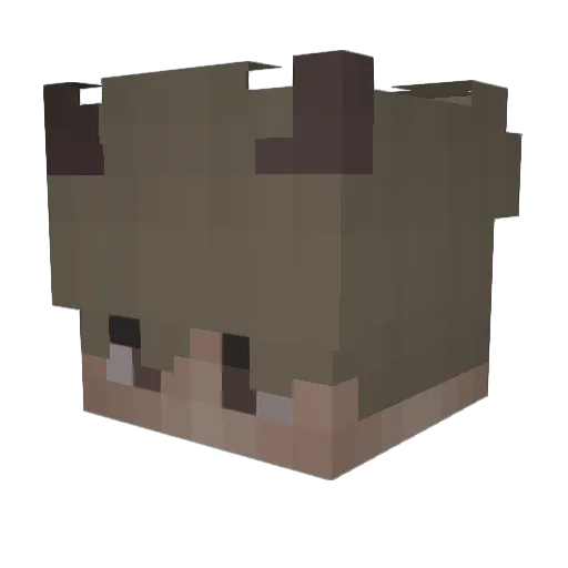 TODESZELLEN Minecraft avatar head, 3D render
