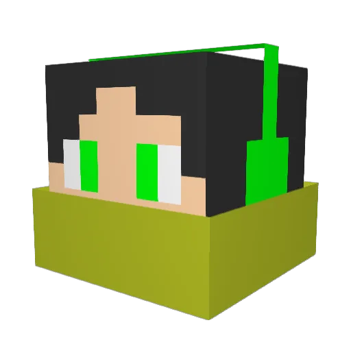 TOIKAN Minecraft avatar head, 3D render