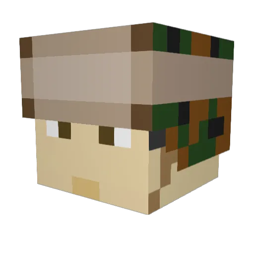 TOKAMAKK Minecraft avatar head, 3D render