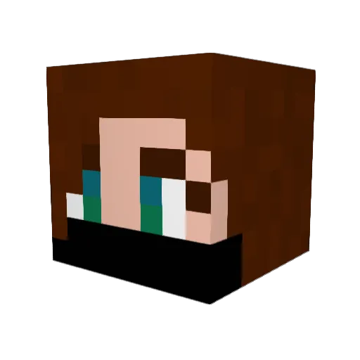 TOKAPopcorn Minecraft avatar head, 3D render