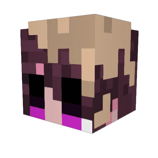 TOKETOKE3 Minecraft avatar head, 3D render