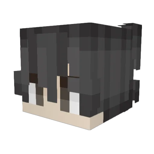 TOKICH810 Minecraft avatar head, 3D render