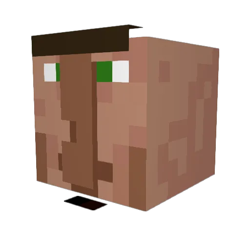 TOM1111111111 Minecraft avatar head, 3D render