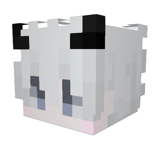 TOM1986R Minecraft avatar head, 3D render