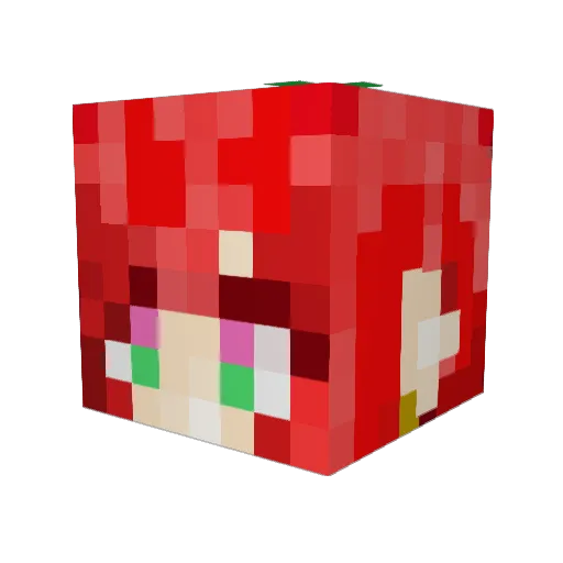 TOMATO0626 Minecraft avatar head, 3D render