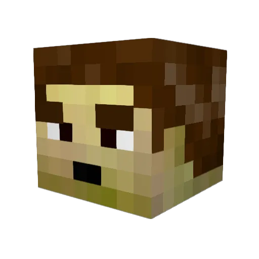 TOMATOMAN114 Minecraft avatar head, 3D render