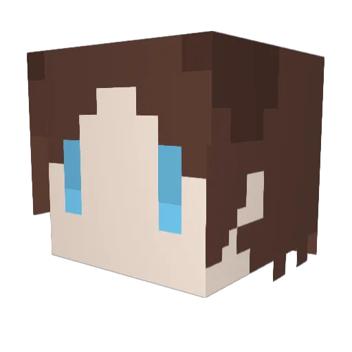 TOMBOOOOOOO Minecraft avatar head, 3D render