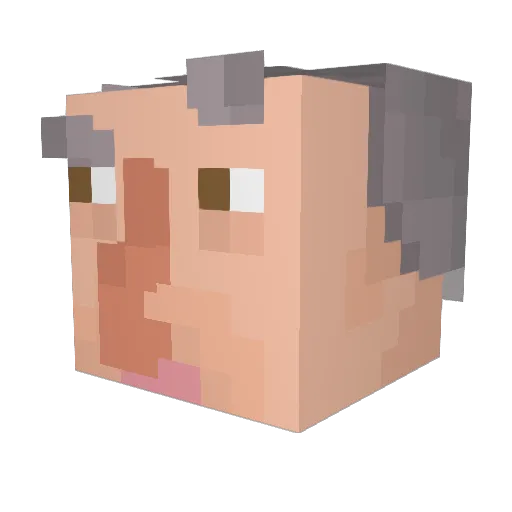 TOMMMMMMMM_ Minecraft avatar head, 3D render