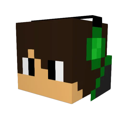 TOMO3399 Minecraft avatar head, 3D render