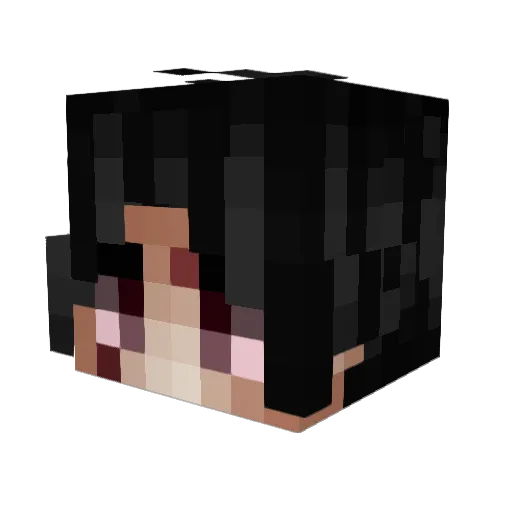 TOMSPACEEY Minecraft avatar head, 3D render