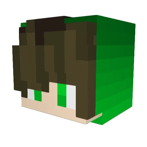 TONBI_123 Minecraft avatar head, 3D render