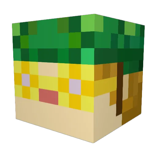 TONTONSKY Minecraft avatar head, 3D render