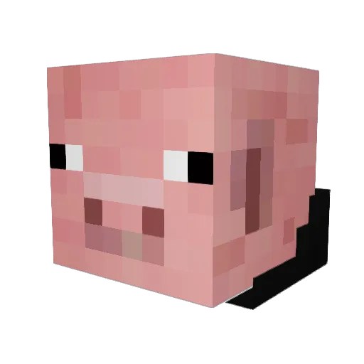 TONY6050 Minecraft avatar head, 3D render