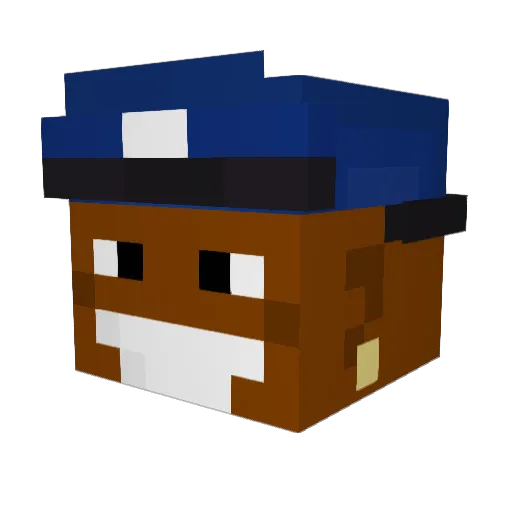 TOOLI3 Minecraft avatar head, 3D render