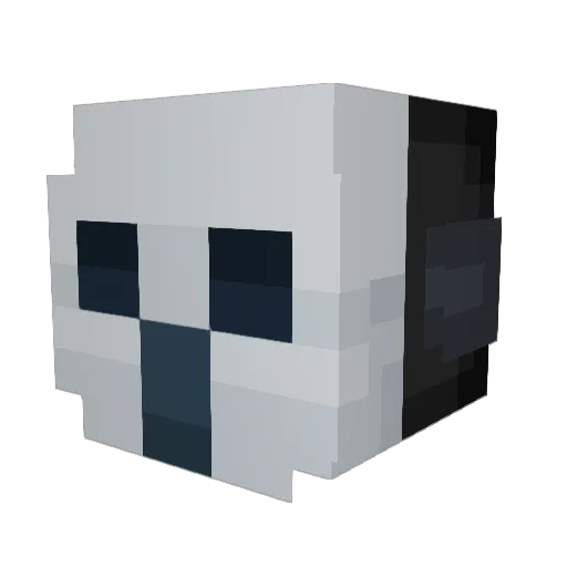TOOL_Enjoyer_96 Minecraft avatar head, 3D render