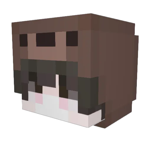 TOP1912 Minecraft avatar head, 3D render