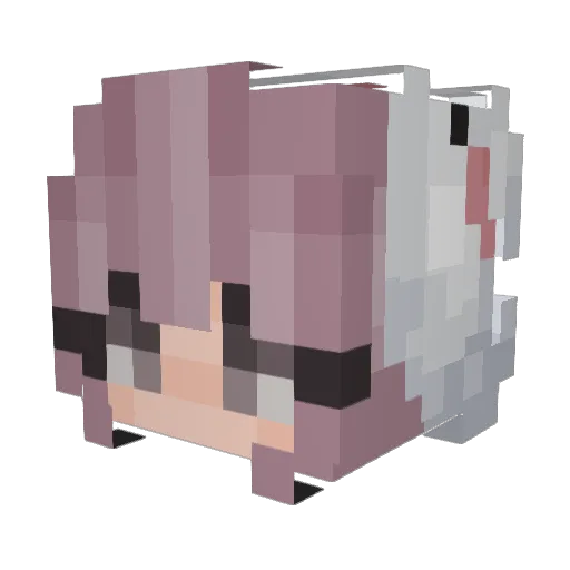 TOPBRIDGEFIN Minecraft avatar head, 3D render