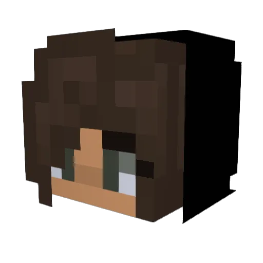 TOPERS228 Minecraft avatar head, 3D render