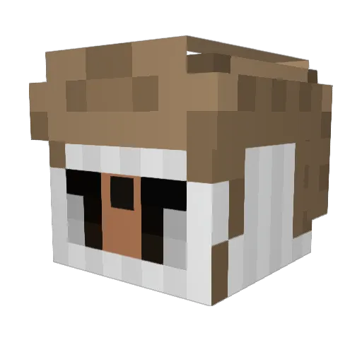 TOPGUN_HAWK Minecraft avatar head, 3D render