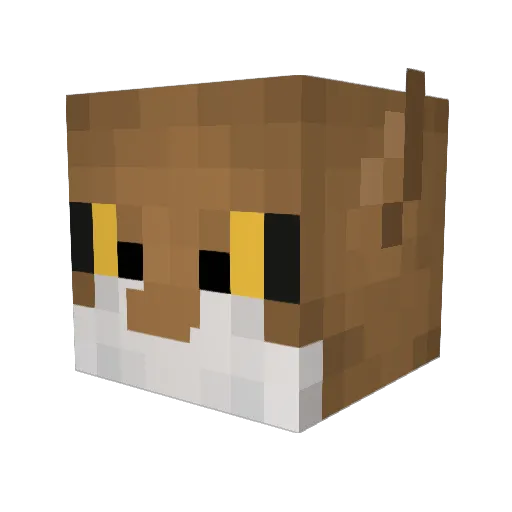 TOPPUS Minecraft avatar head, 3D render