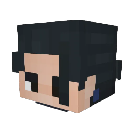 TOPTAO Minecraft avatar head, 3D render