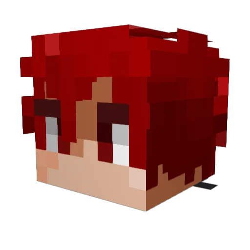 TOPYKE Minecraft avatar head, 3D render