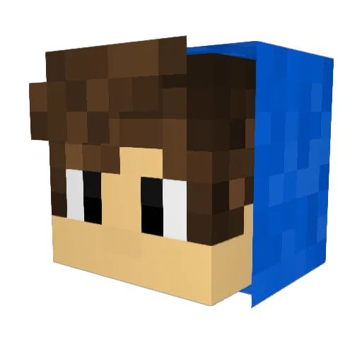 TOP___________G Minecraft avatar head, 3D render