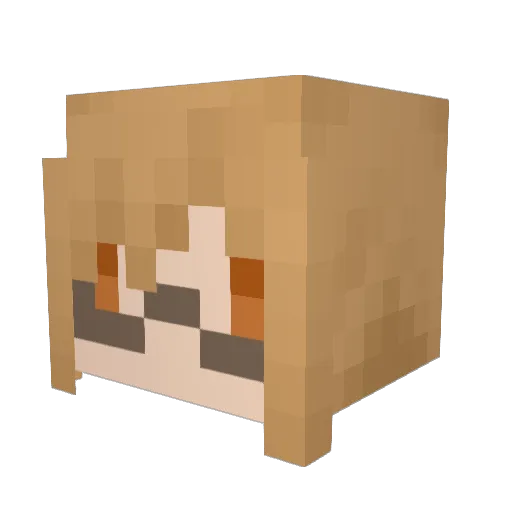 TORINO2525 Minecraft avatar head, 3D render