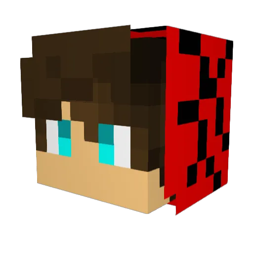 TORO1200 Minecraft avatar head, 3D render