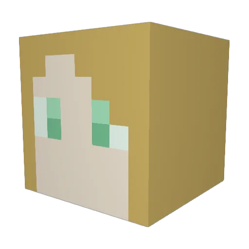 TORTOISELOVER1 Minecraft avatar head, 3D render