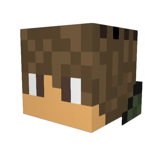 TOTOROG3 Minecraft avatar head, 3D render