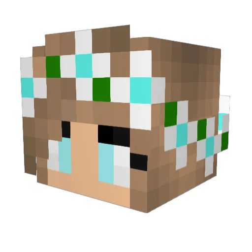 TOTOROOSJE Minecraft avatar head, 3D render