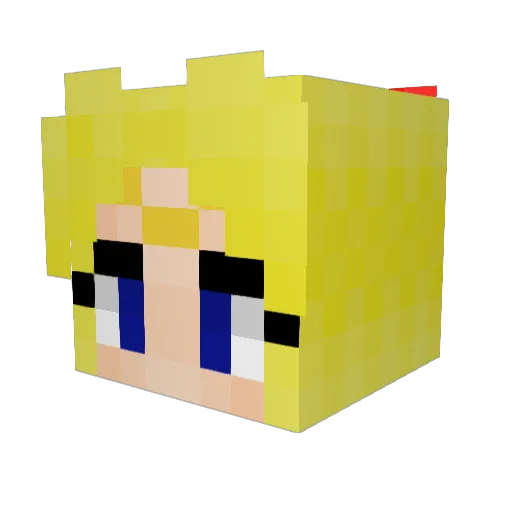 TOTOROR0 Minecraft avatar head, 3D render