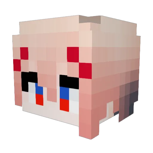 TOTOTAI Minecraft avatar head, 3D render