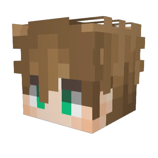 TOTS9821 Minecraft avatar head, 3D render