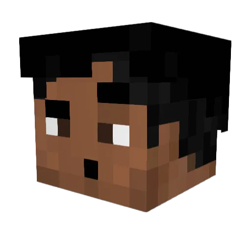 TOUGHLUCK1017 Minecraft avatar head, 3D render