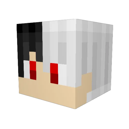 TOXICKILLER556 Minecraft avatar head, 3D render