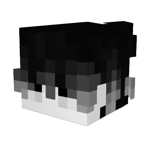 TOXIC_BMX Minecraft avatar head, 3D render